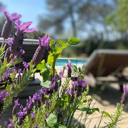 La Finca *
